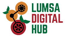 Lumsa Digital Hub-