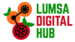 Lumsa Digital HUB-
