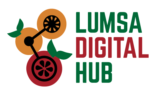 Lumsa Digital HUB-